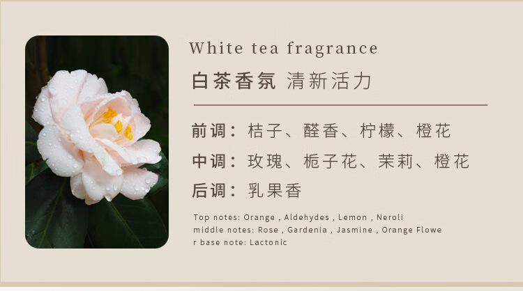 白茶香氛泡沫洗手液