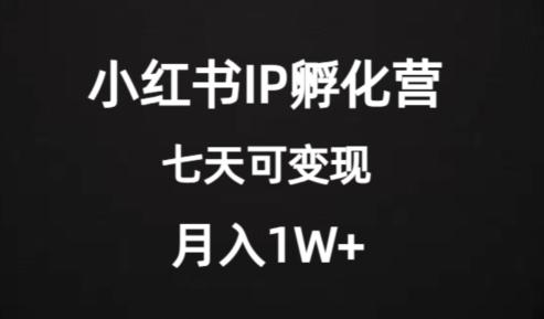 价值2000+的小红书IP孵化营项目，超级大蓝海，七天即可开始变现，稳定月入1W+-huitchan网创