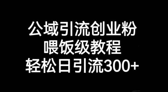 公域引流创业粉，喂饭级教程，轻松日引流300+【揭秘】-huitchan网创