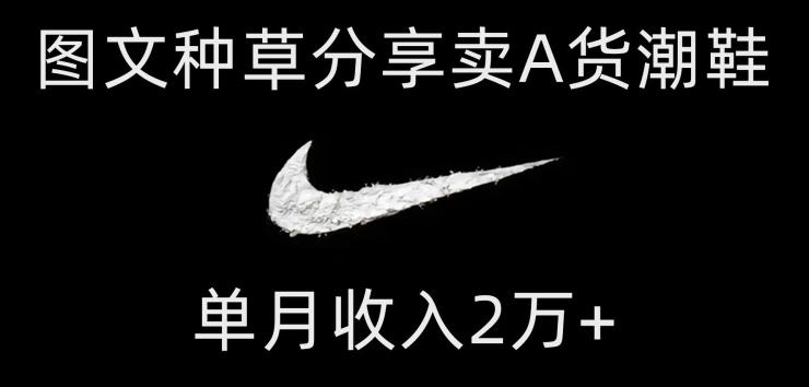 靠图文种草分享卖A货潮鞋，每天一小时，单月收入2万+【揭秘】-huitchan网创