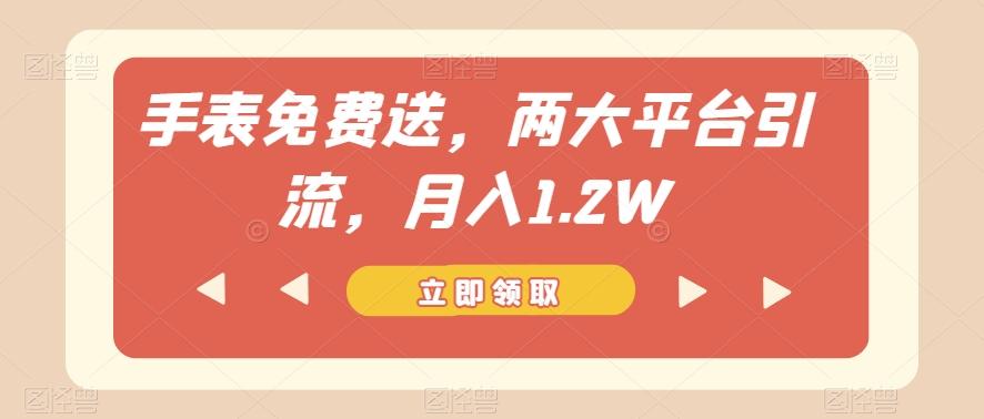 手表免费送，两大平台引流，月入1.2W【揭秘】-huitchan网创