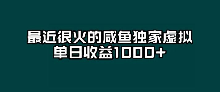 最近很火的咸鱼独家虚拟，单日收益1000+-huitchan网创