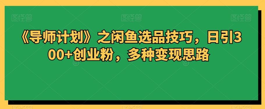 《导师计划》之闲鱼选品技巧，日引300+创业粉，多种变现思路-huitchan网创