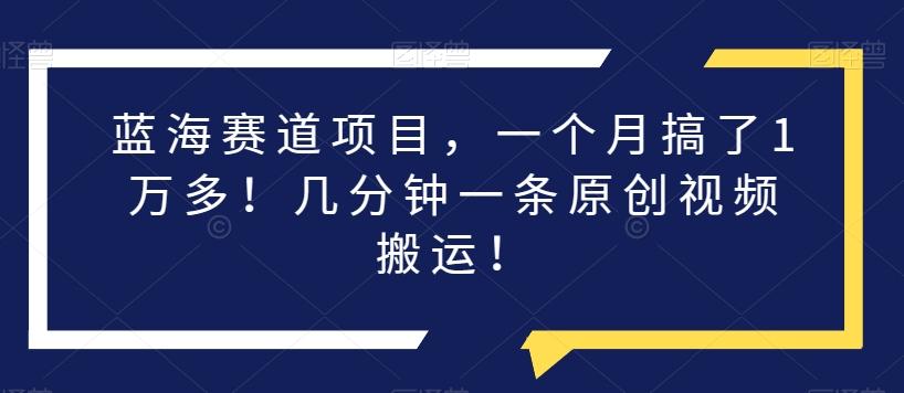 蓝海赛道项目，一个月搞了1万多！几分钟一条原创视频搬运！-huitchan网创