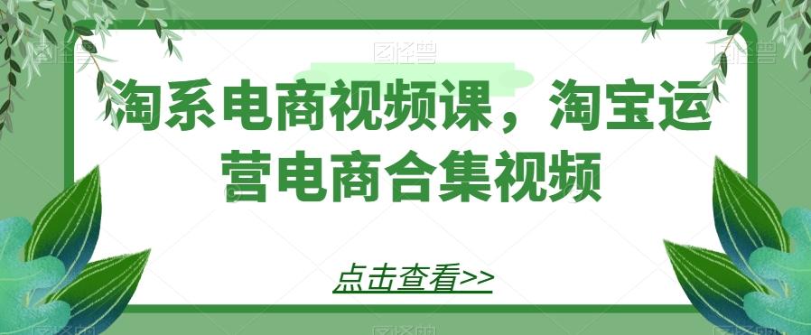 淘系电商视频课，淘宝运营电商合集视频-huitchan网创