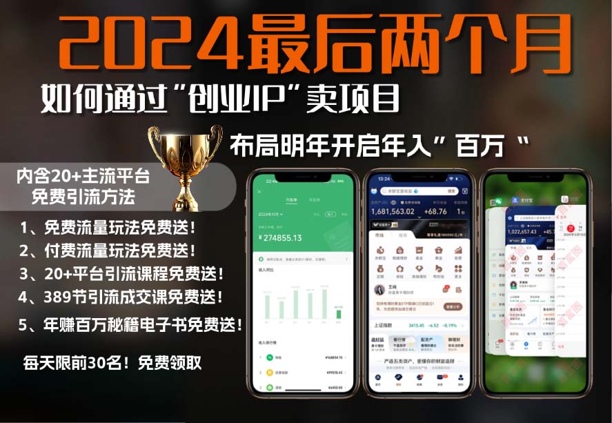 2024最后两个月如何通过”创业IP“卖项目年入”百万“,创业IP+最强引流...-huitchan网创