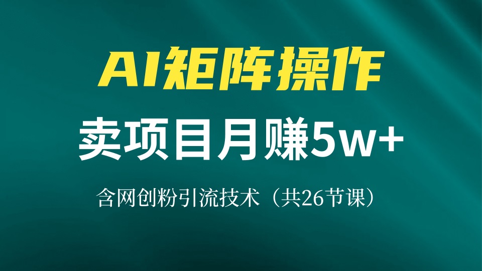 网创IP打造课，借助AI卖项目月赚5万+，含引流技术(共26节课-huitchan网创