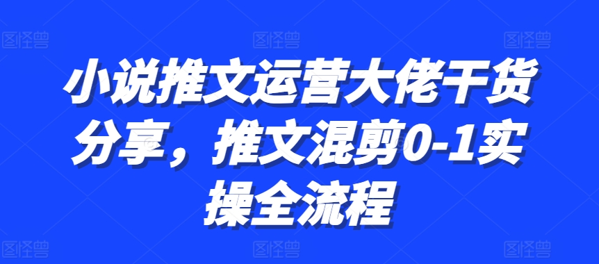 小说推文运营大佬干货分享，推文混剪0-1实操全流程-huitchan网创