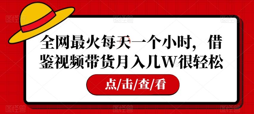 全网最火每天一个小时，借鉴视频带货月入几W很轻松【揭秘】-huitchan网创