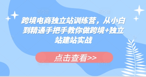 跨境电商独立站训练营，从小白到精通手把手教你做跨境+独立站建站实战-huitchan网创