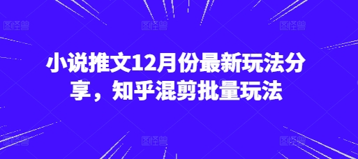 小说推文12月份最新玩法分享，知乎混剪批量玩法-huitchan网创