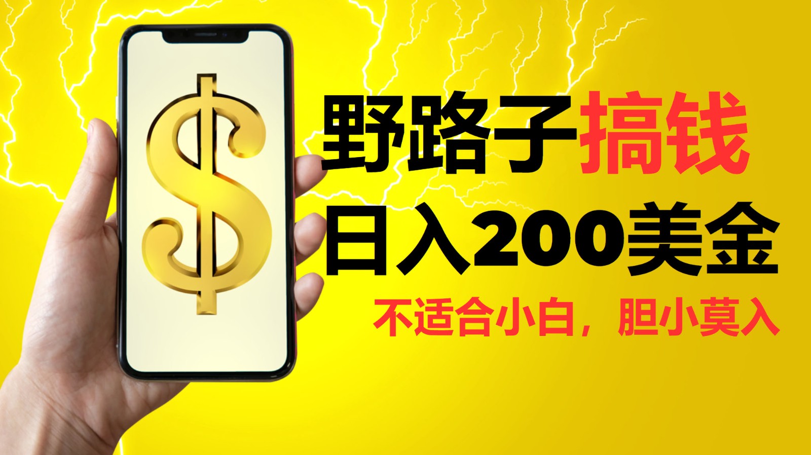 挂机野路子搞钱，日入200美金，路子很野，小白莫入-huitchan网创