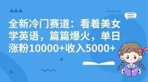 全新冷门赛道：看着美女学英语，篇篇爆火，单日涨粉10000+收入5000+-huitchan网创