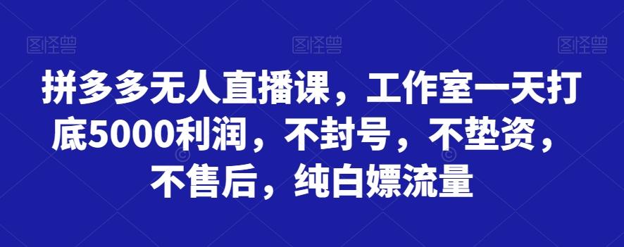 拼多多无人直播课，工作室一天打底5000利润，不封号，不垫资，不售后，纯白嫖流量-huitchan网创