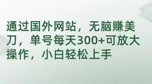 通过国外网站，无脑赚美刀，单号每天300+可放大操作，小白轻松上手【揭秘】-huitchan网创