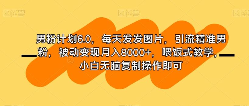 男粉计划6.0，每天发发图片，引流精准男粉，被动变现月入8000+，喂饭式教学，小白无脑复制操作即可-huitchan网创