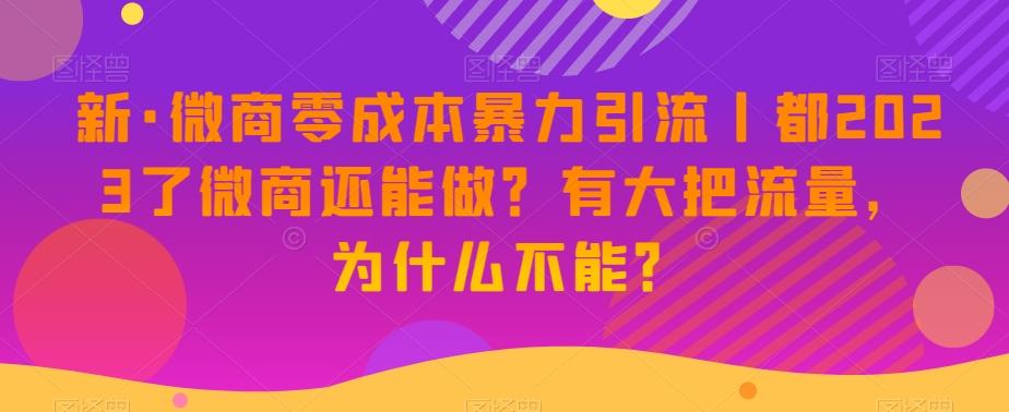新·微商零成本暴力引流丨都2023了微商还能做？有大把流量，为什么不能？-huitchan网创