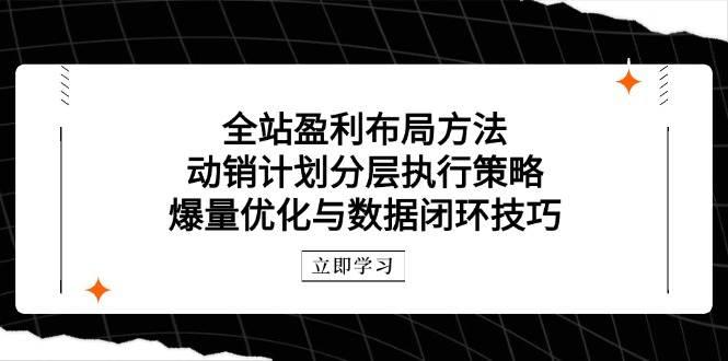 全站盈利布局方法：动销计划分层执行策略，爆量优化与数据闭环技巧-huitchan网创
