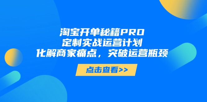 淘宝开单秘籍PRO，定制实战运营计划，化解商家痛点，突破运营瓶颈-huitchan网创