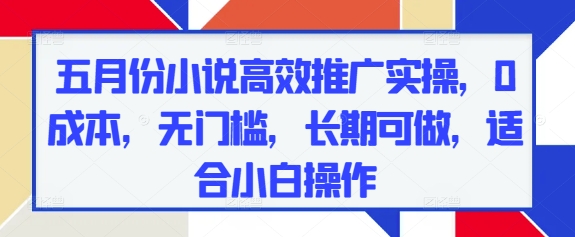 五月份小说高效推广实操，0成本，无门槛，长期可做，适合小白操作-huitchan网创