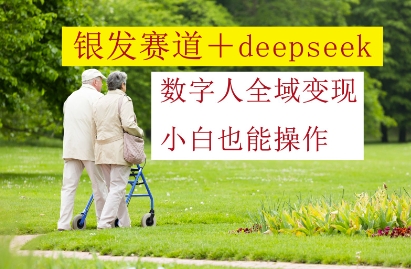 银发赛道+deepseek数字人全域变现，小白也能操作-huitchan网创