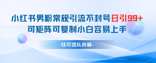 小红书男粉常规引流不封号日引99+变现简单 可矩阵可复制小白容易上手-huitchan网创