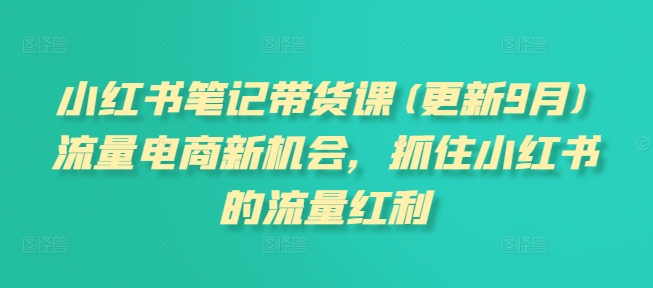 小红书笔记带货课(更新25年6月)流量电商新机会，抓住小红书的流量红利-huitchan网创