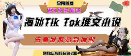 海外tiktok小说推文暴力项目，高停留率，高转化率，上手后一天搞顿饭钱不是问题-huitchan网创
