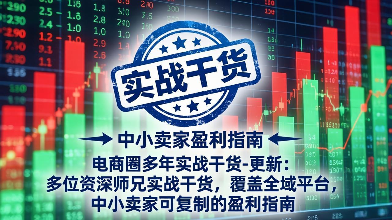 电商圈多年实战干货-更新4月27：多位资深师兄实战干货/覆盖全域平台，中小卖家可复制的盈利指南-huitchan网创