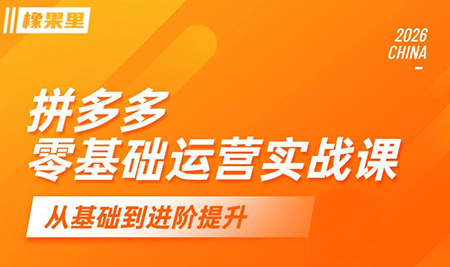 仙道电商·拼多多零基础运营实战课-FANGXZHAN网创