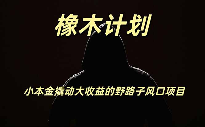 橡木计划，小投入撬动高回报的风口野路子项目，一天投入2小时左右-HFXZHAN网创