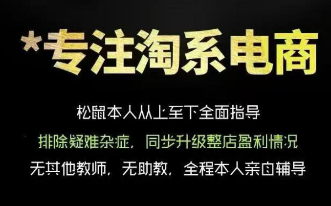 松鼠会电商VIP课程，从基础布局到高阶优化，助你掌握淘宝运营逻辑，提升店铺流量与转化(更新0809)-HFXZHAN网创