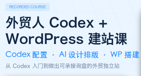 大卫·外贸人Codex + WordPress建站课(更新8月)-HFXZHAN网创