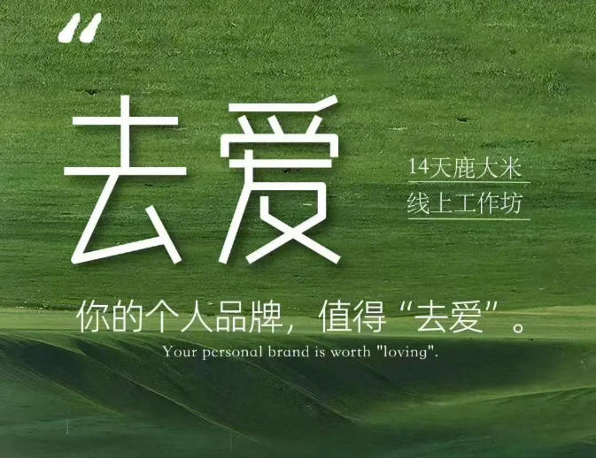 去爱14天鹿大米线上工作坊，你的个人品牌，值得“去爱”-HFXZHAN网创