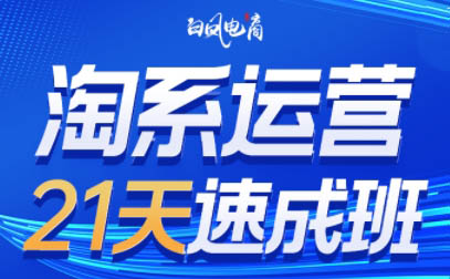 白凤电商·淘系运营21天速成班(更新8月)-HFXZHAN网创