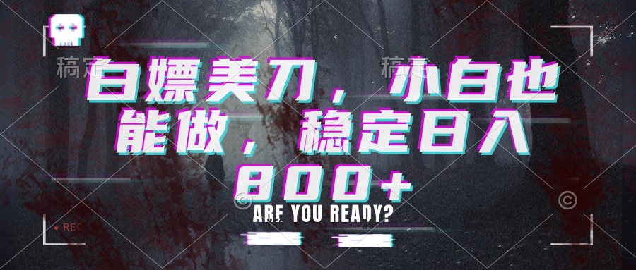 白嫖美刀，小白也能做，稳定日入800+-HFXZHAN网创