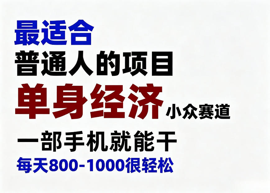 身经济小众赛道，一部手机就能干，每天搞个800-1000很轻松，最适合普通人的项目【揭秘】-HFXZHAN网创